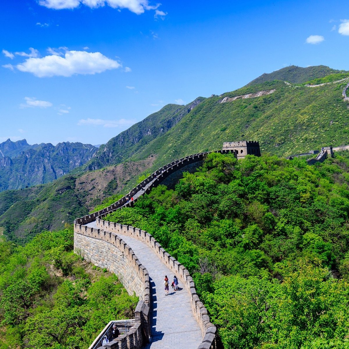 Gran Muralla de Mutianyu con paisaje abierto y sin multitudes